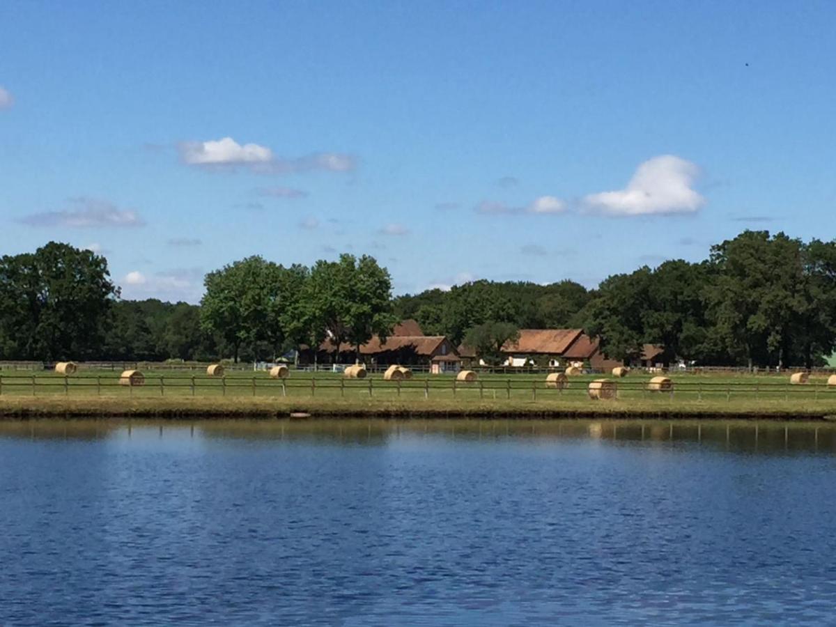 Haras Du Vignault Le Bucher ซาลบรีส์ ภายนอก รูปภาพ