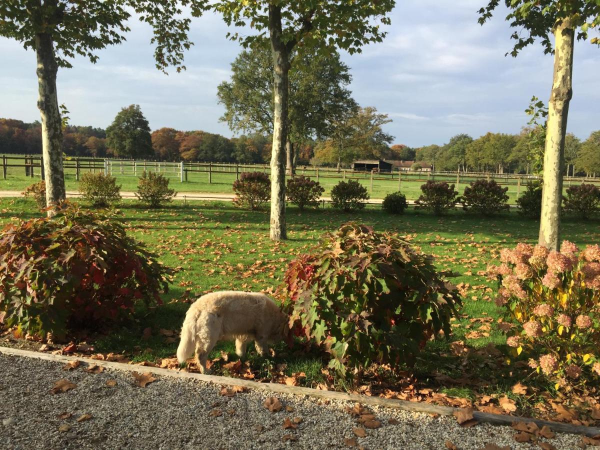 Haras Du Vignault Le Bucher ซาลบรีส์ ภายนอก รูปภาพ